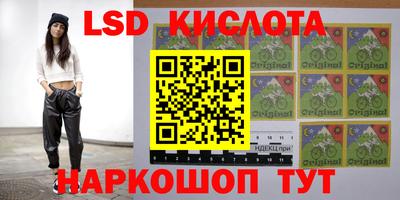 гашик Новодвинск