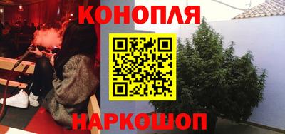 гашик Новозыбков