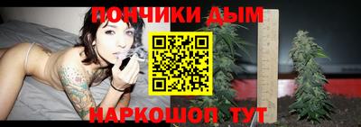 гашик Новодвинск