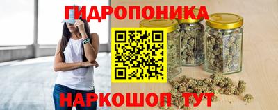 эйфоретик Новокубанск