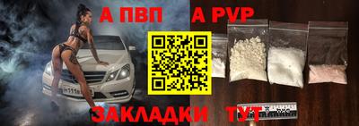 гашик Новозыбков