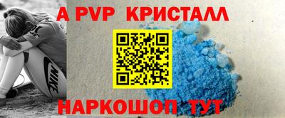 гашик Новозыбков