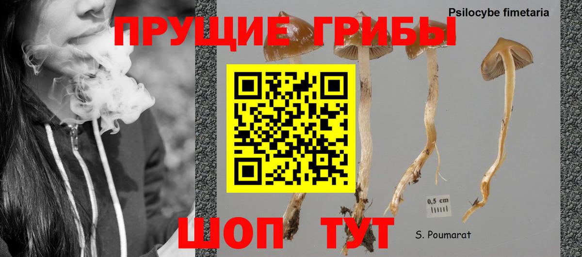 Псилоцибиновые грибы Magic Shrooms Скопин